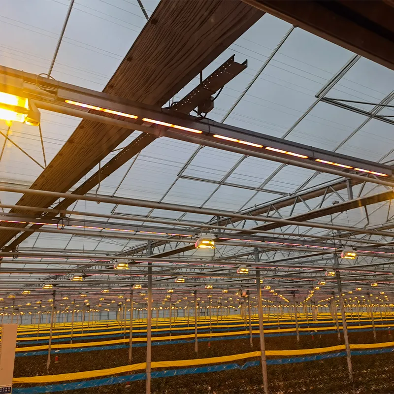 Системы досвечивания LED-лампами для растений