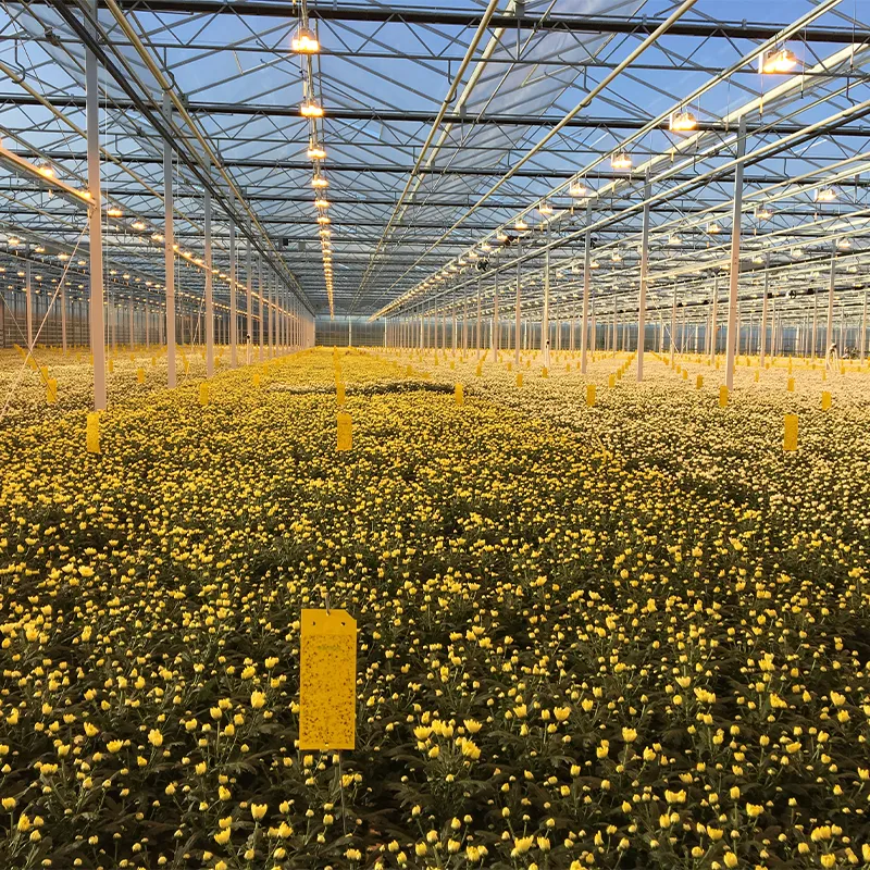 Системы досвечивания LED-лампами для растений