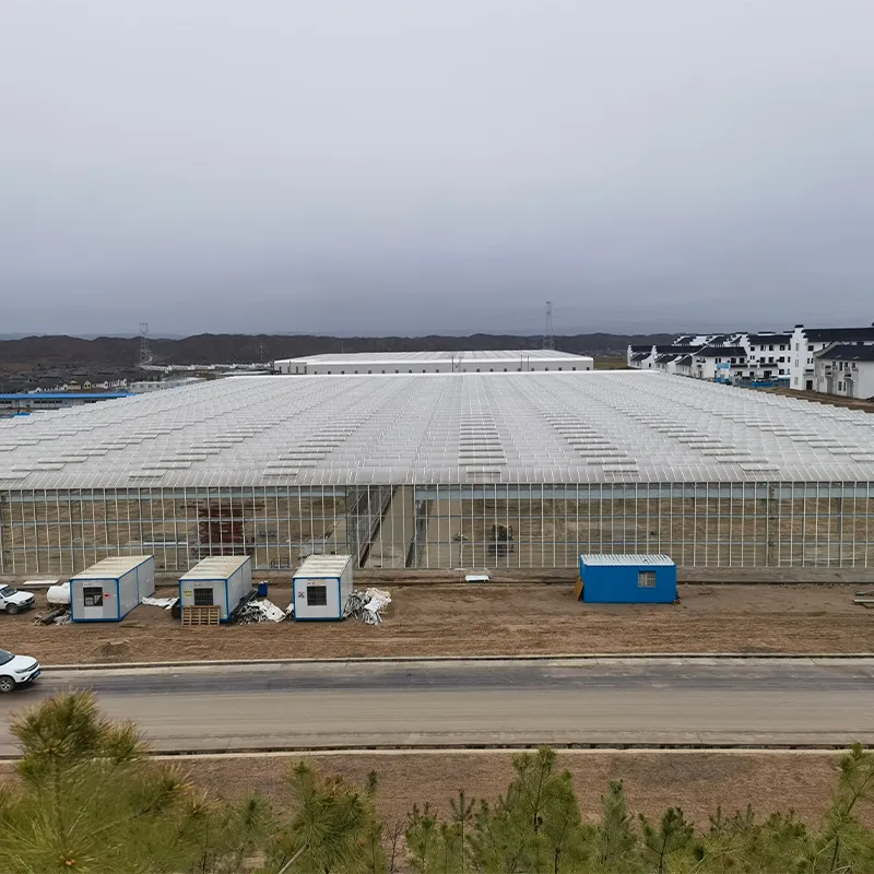 Современный сельскохозяйственный выставочный парк, Новый район Ланьчжоу