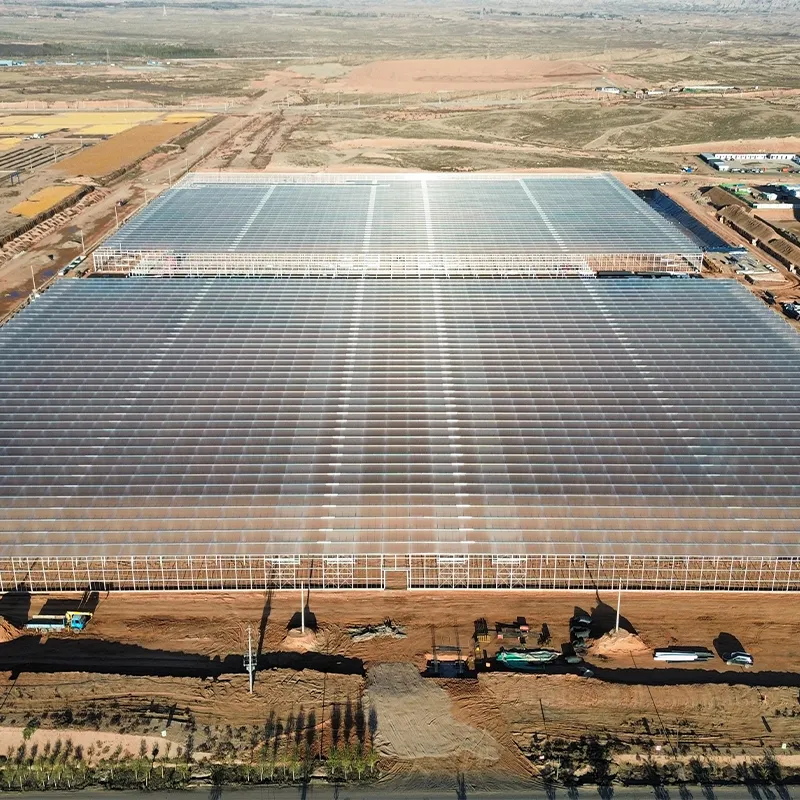 Современный (кольцевой) сельскохозяйственный промышленный парк округа Цзинтай, Демонстрационная сельскохозяйственная посадочная база