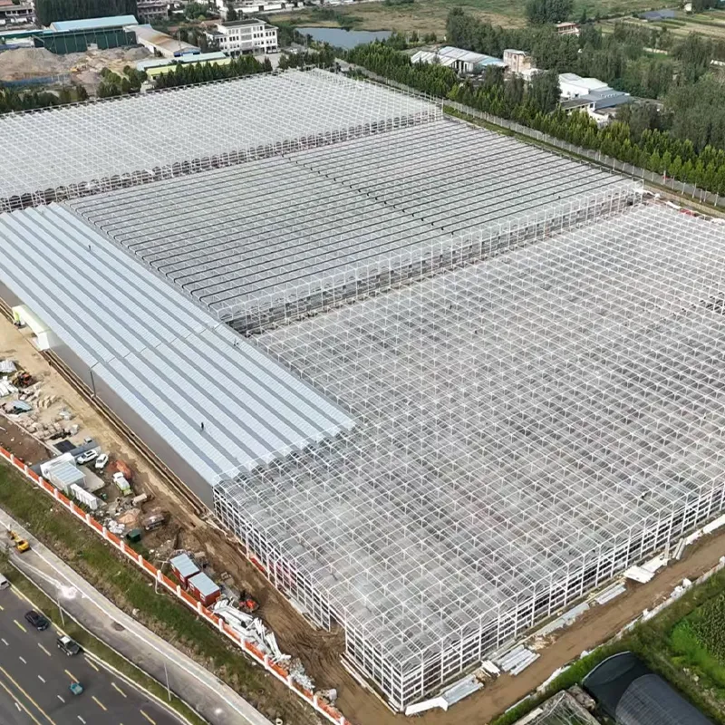 Современный сельскохозяйственный научно-технический промышленный центр, район Луочжуан, город Линьи