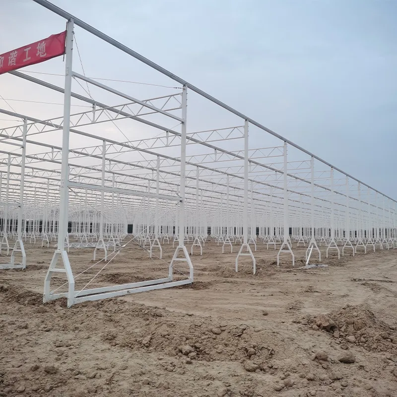 Helan County State-Owned Assets Operation Group Co., Ltd. Проект интеллектуальной теплицы из непрерывного стекла площадью 200 000 квадратных метров (фаза I).