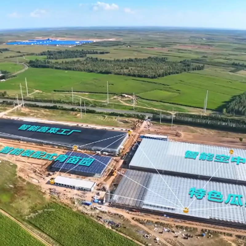 Проект современного цифрового сельскохозяйственного научно-технического индустриального парка “Далат Баннер”