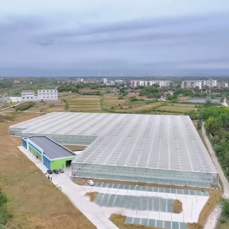 Демонстрационный проект современной сельскохозяйственной науки и техники округа Шаянг