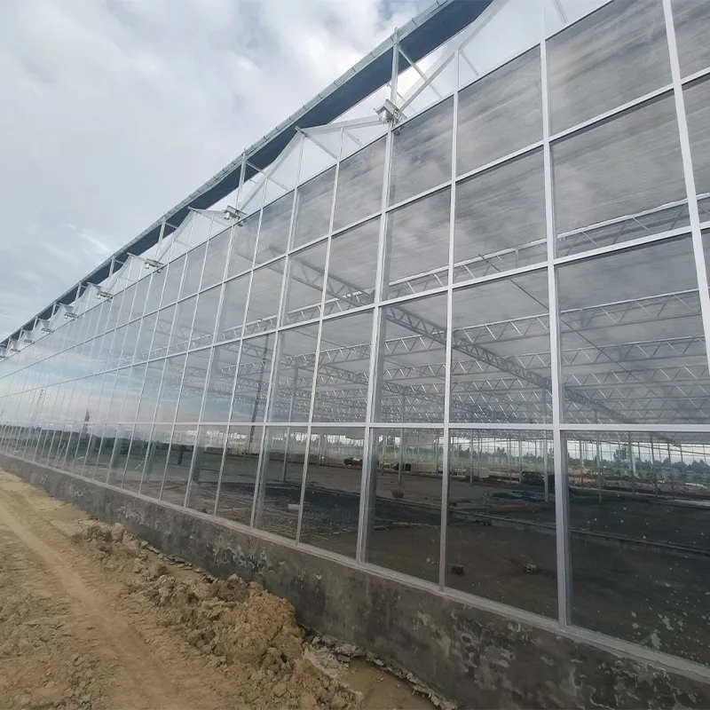 Китайско-Израильский демонстрационный парк сельскохозяйственной науки и техники, уезд Хуайюань, провинция Аньхой