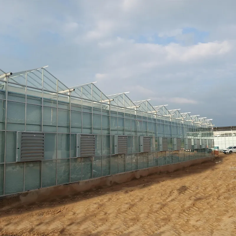 Демонстрационный парк современной сельскохозяйственной науки и техники в районе Хуннань -Проект стеклянной теплицы