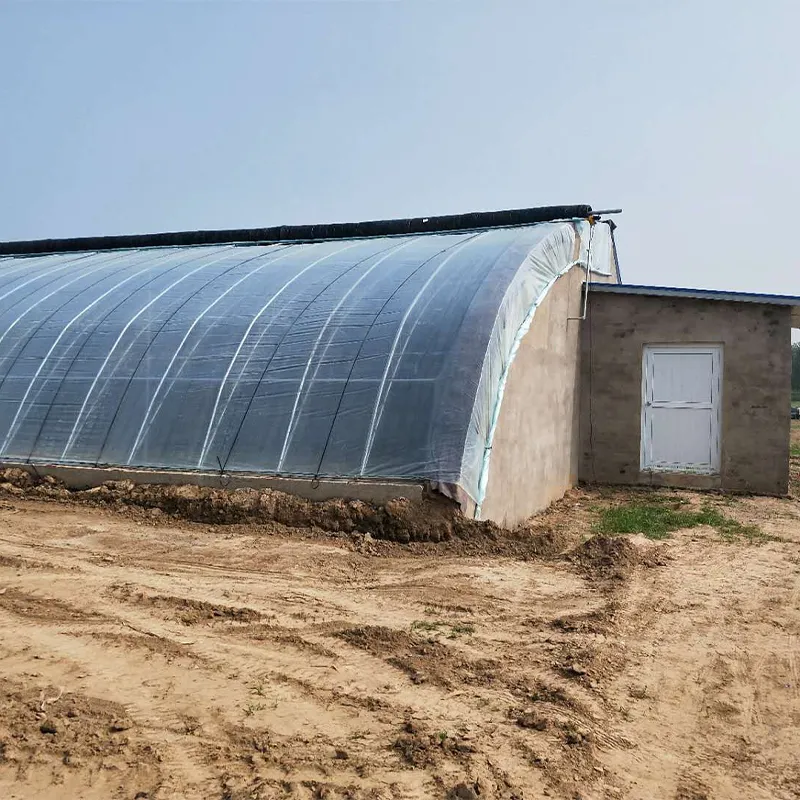 Солнечная теплица