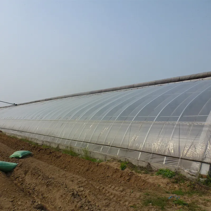 Солнечная теплица