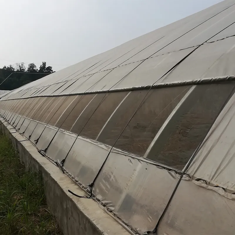 Солнечная теплица с теплоизоляционными панелями