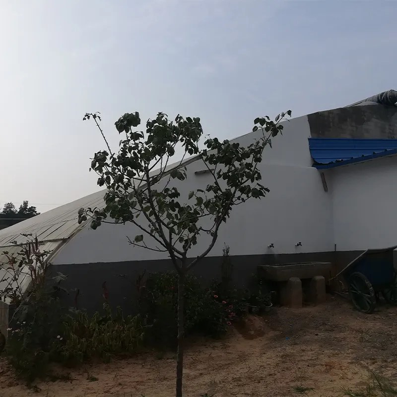 Солнечная теплица с теплоизоляционными панелями