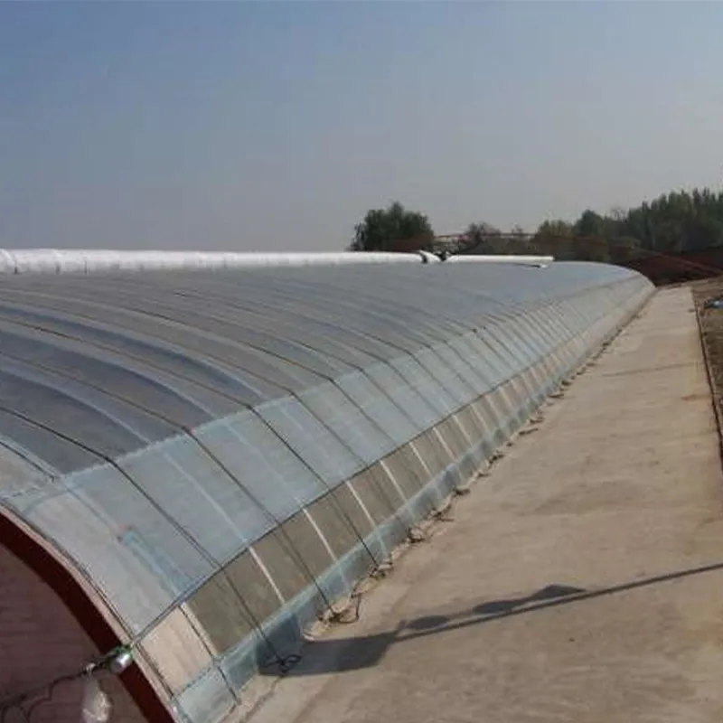 Солнечная теплица со стеновыми конструкциями