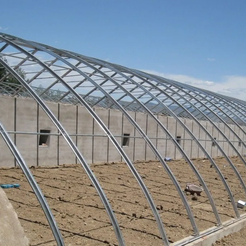 Солнечная теплица со стеновыми конструкциями