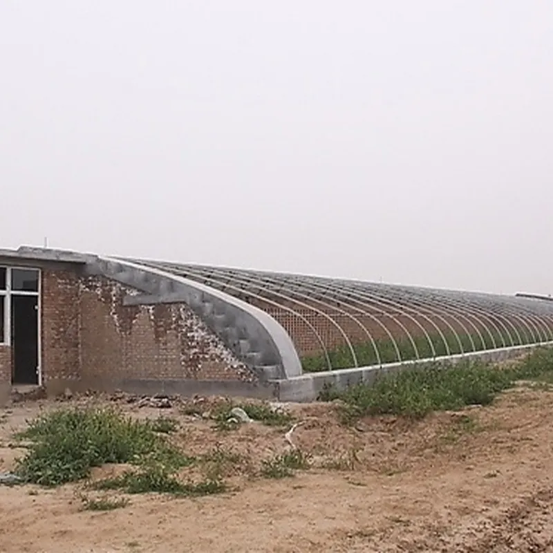 Солнечная теплица со стеновыми конструкциями