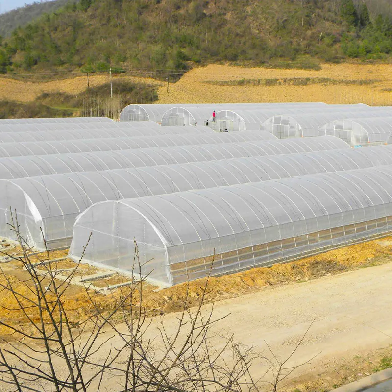 Стандартный одиночный парник