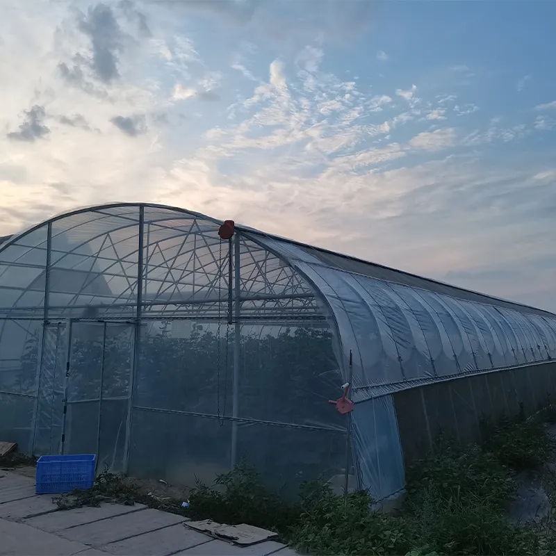 Стандартный одиночный парник