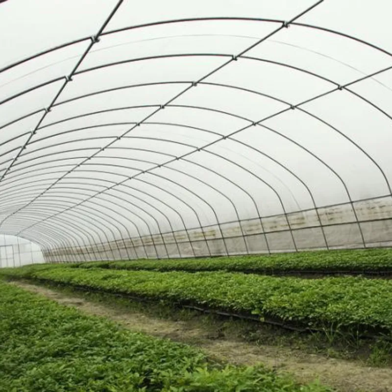 Стандартный одиночный парник