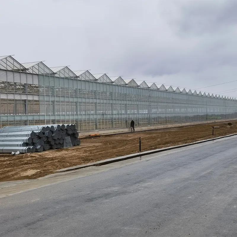 Стеклянная теплица с алюминиевым водостоком