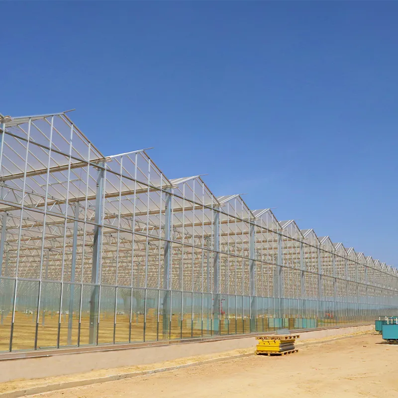 Стеклянная теплица с алюминиевым водостоком