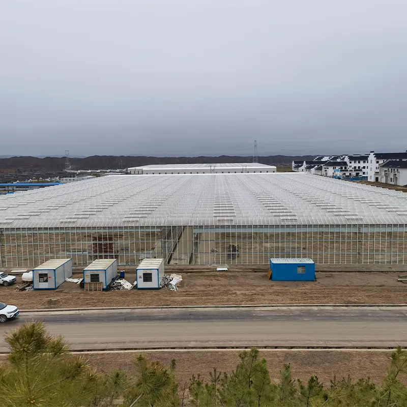 Стеклянная теплица с алюминиевым водостоком