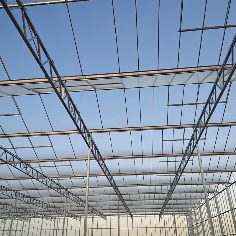 Стеклянная теплица с алюминиевым водостоком