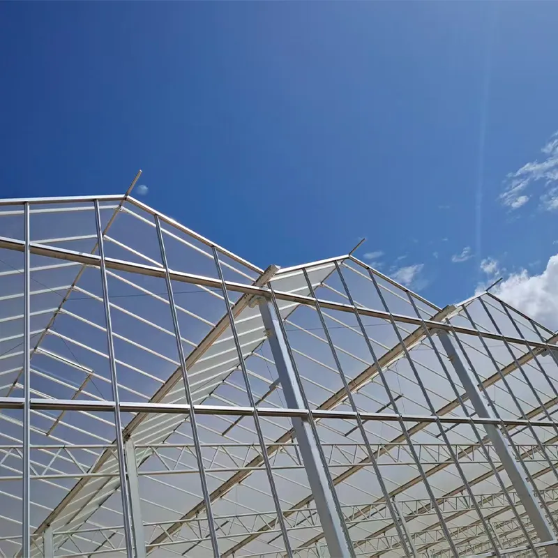 Стеклянная теплица с алюминиевым водостоком