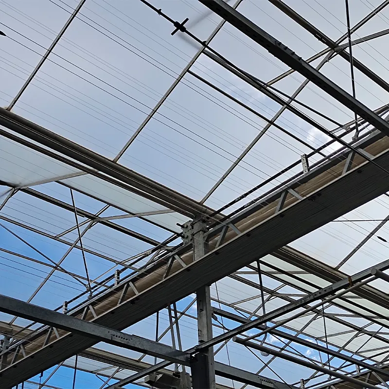 Стеклянная теплица с непрерывным продольным открыванием окон, выполненным по принципу крыльев бабочки