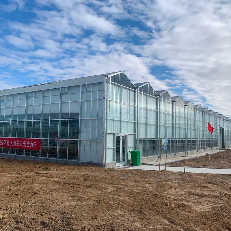 Стеклянная теплица со стальным водостоком