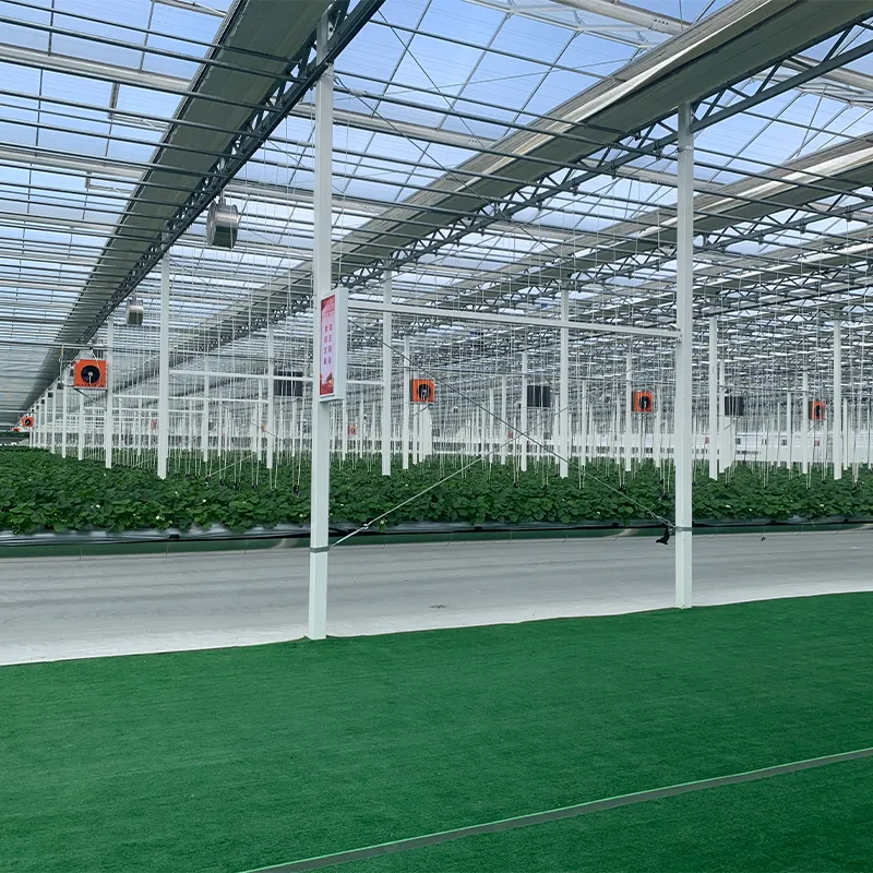 Стеклянная теплица со стальным водостоком