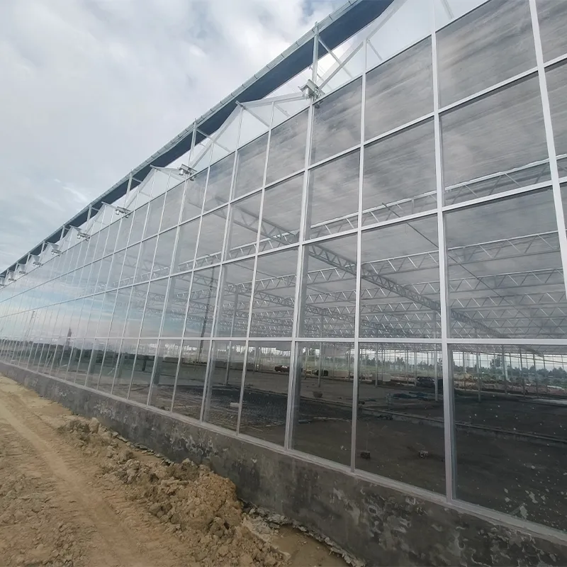 Стеклянная теплица со стальным водостоком