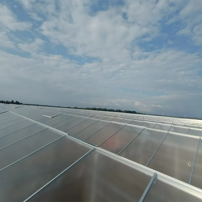 Стеклянная теплица со стальным водостоком