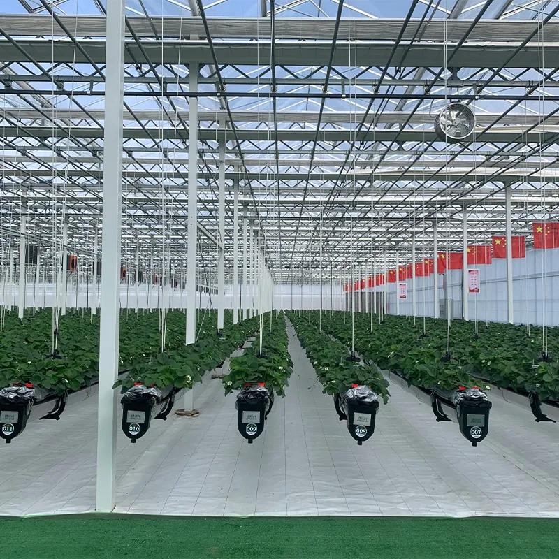 Стеклянная теплица со стальным водостоком