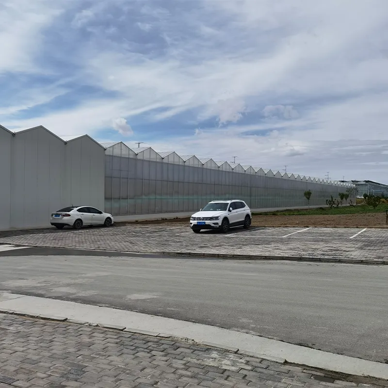 Стеклянная теплица со сэндвич-панелями