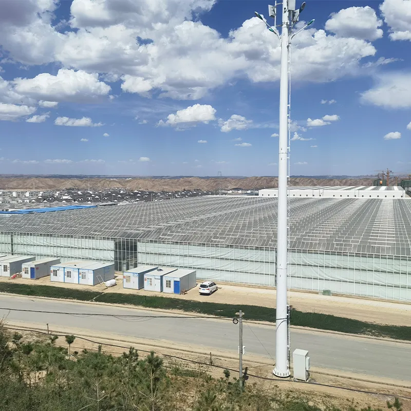 Стеклянная теплица со сэндвич-панелями