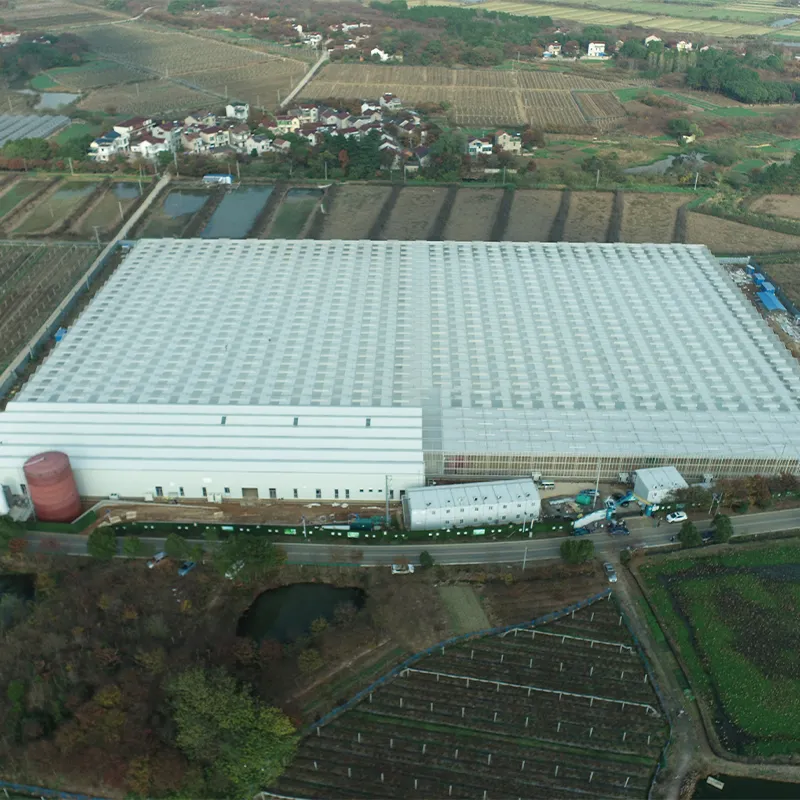 Стеклянная теплица со сэндвич-панелями