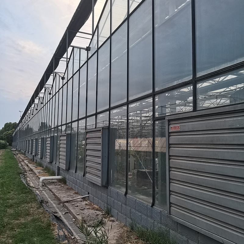 Теплица агроэкопарка