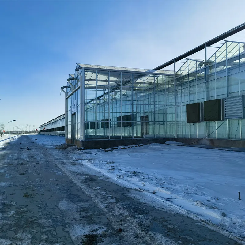 Теплица для выращивания рассады