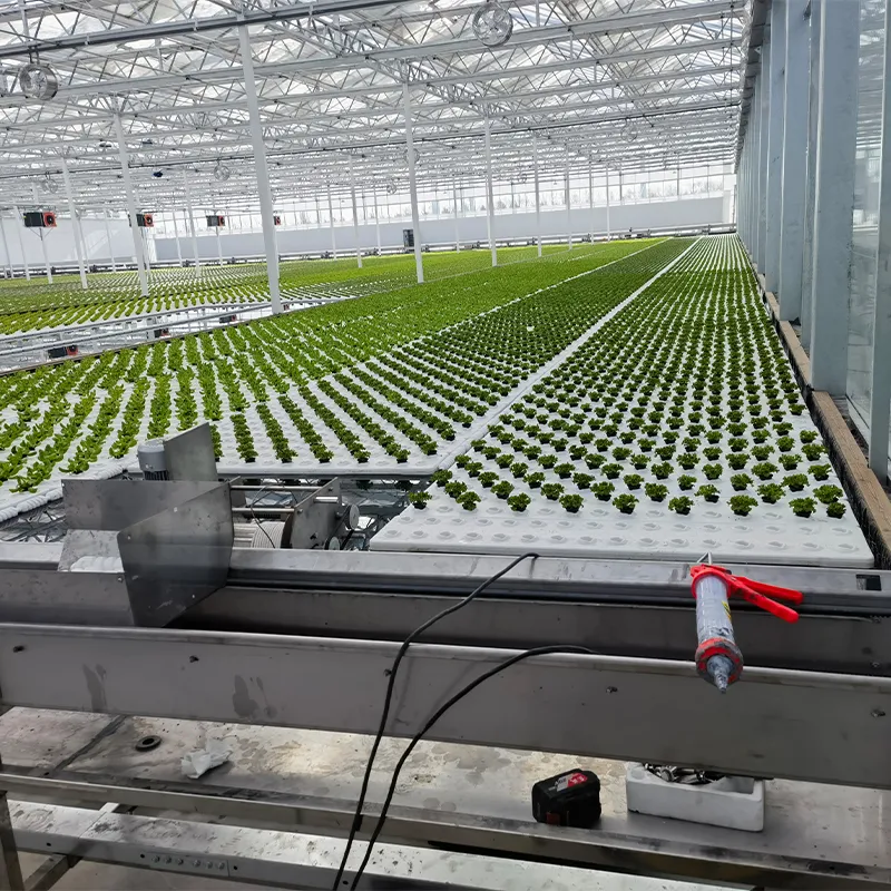 Теплица для выращивания рассады