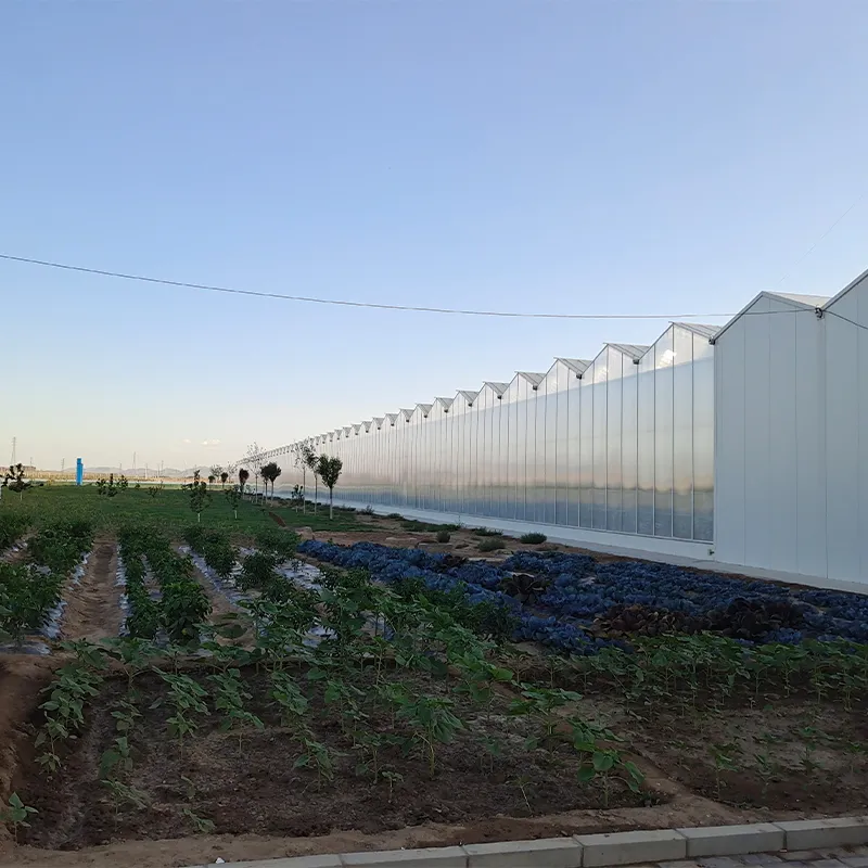 Теплица для выращивания цветов