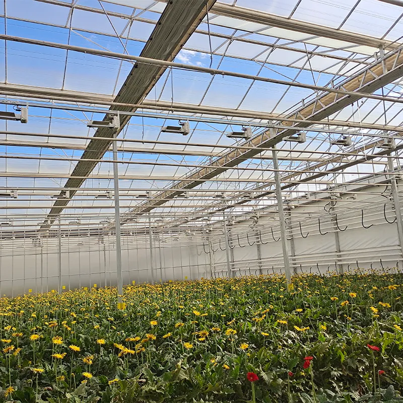 Теплица для выращивания цветов