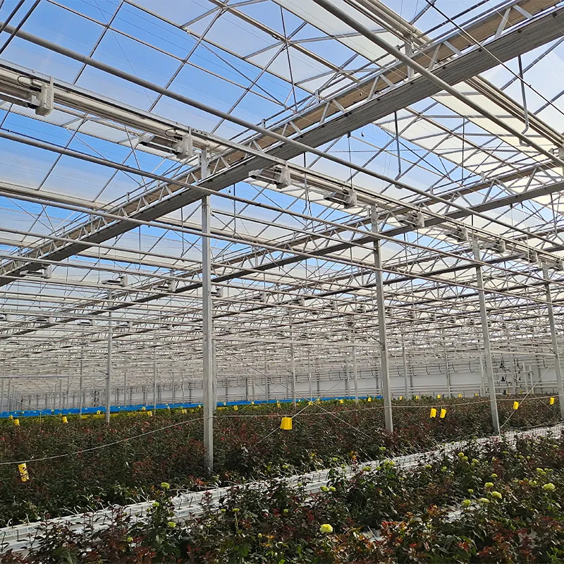 Теплица для выращивания цветов