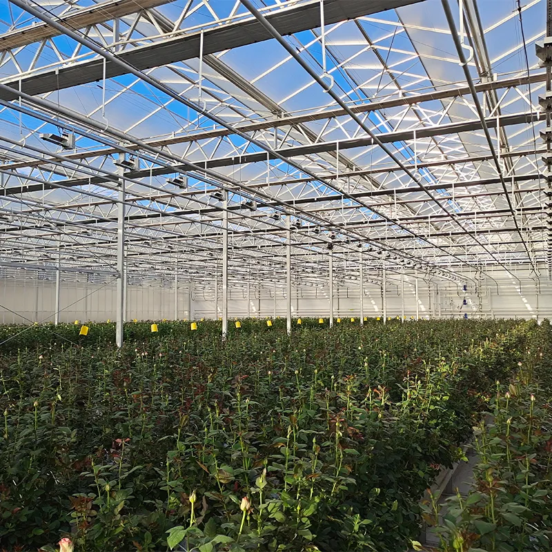 Теплица для выращивания цветов