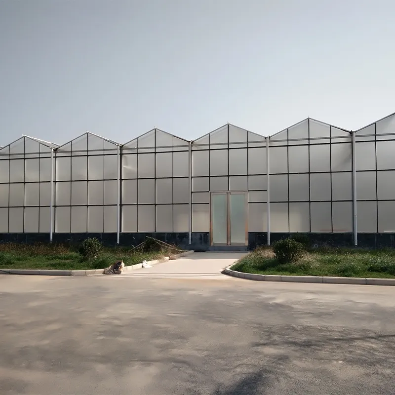 Теплица для микроводорослей