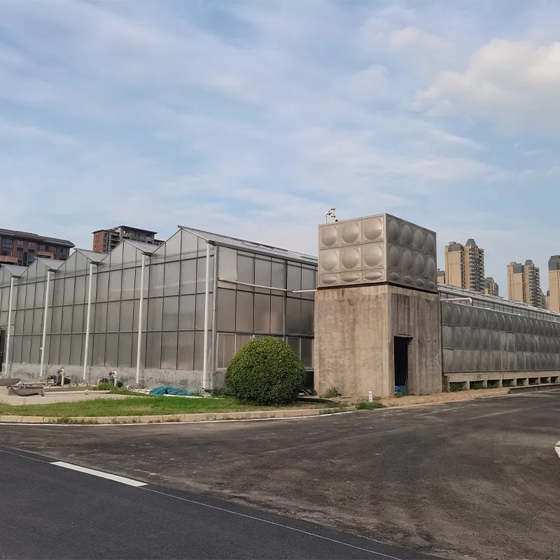 Теплица для микроводорослей