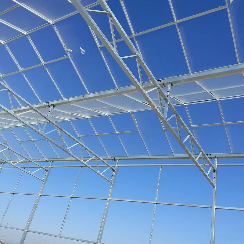 Теплица для микроводорослей