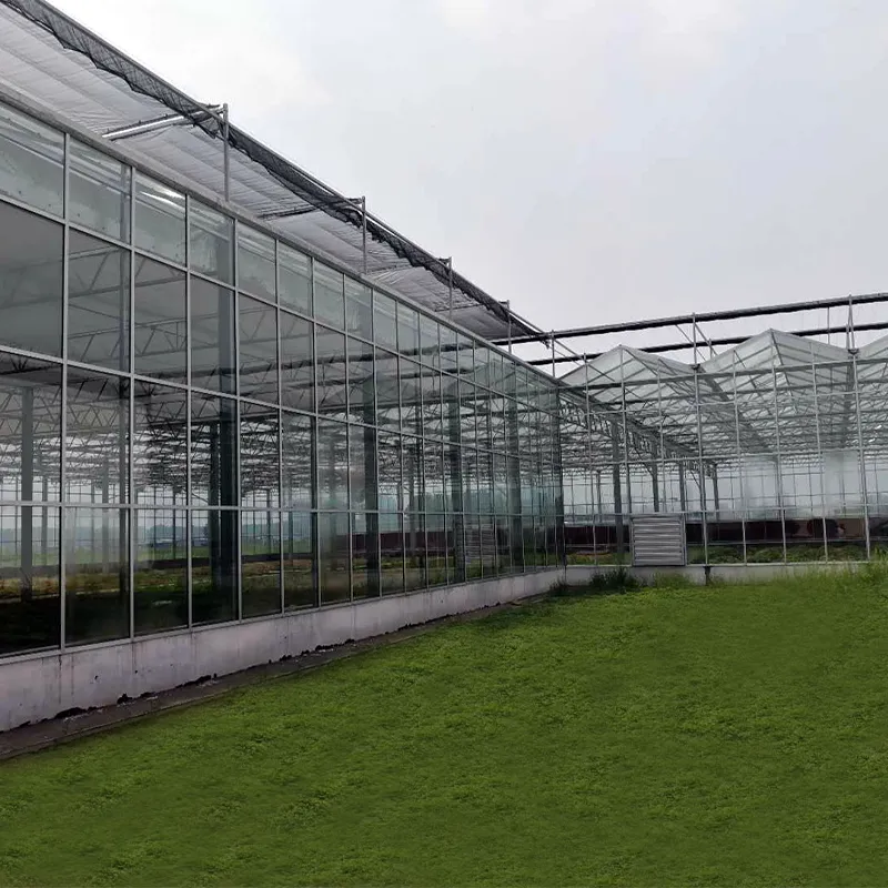 Теплица из сотового поликарбоната для вертикаль...