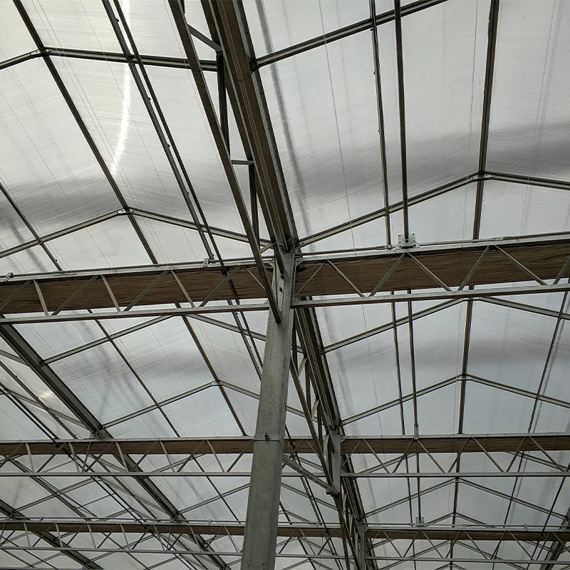 Теплица из сотового поликарбоната для вертикального выращивания