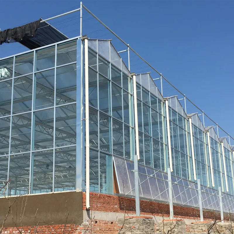 Теплица из сотового поликарбоната и стекла