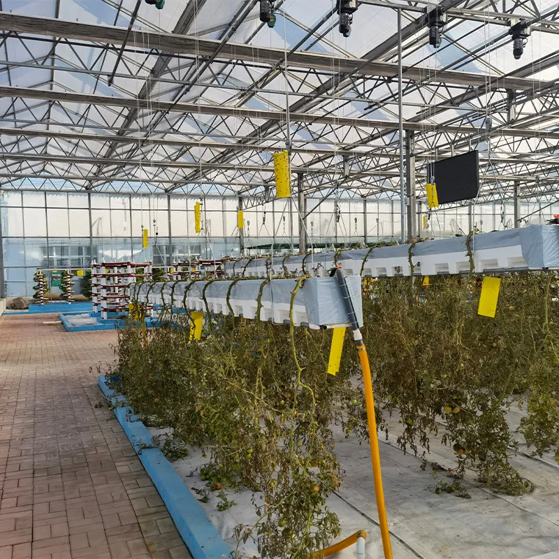 Теплица из сотового поликарбоната и стекла