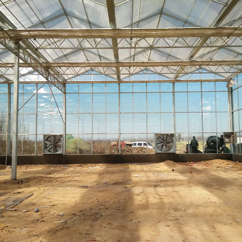 Теплица из сотового поликарбоната и стекла