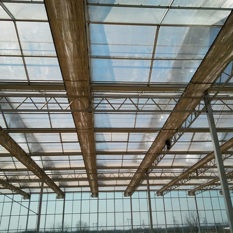 Теплица из сотового поликарбоната и стекла